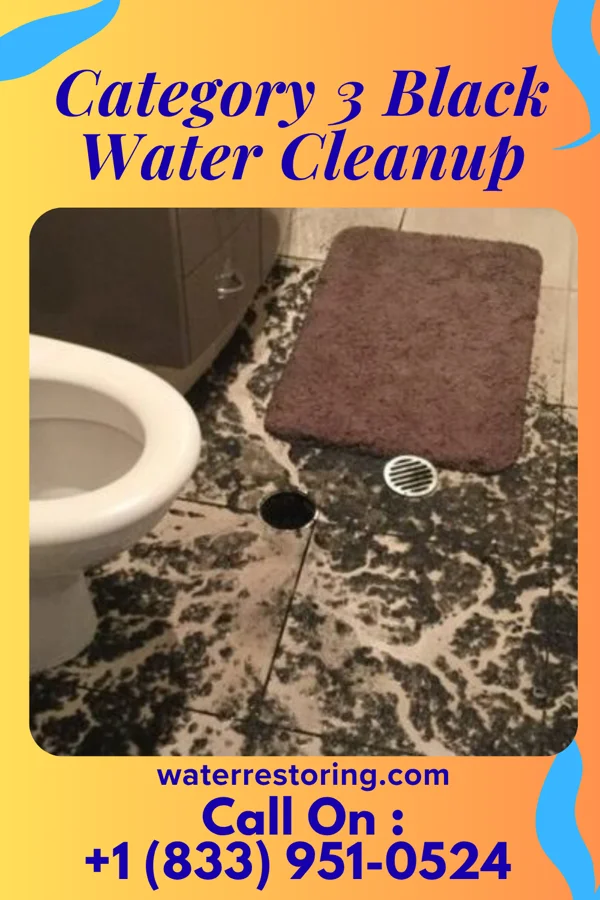 Category 3 Black Water Cleanup in Rio Chiquito, NM