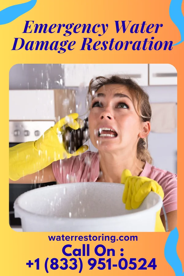 Emergency Water Damage Restoration in Rio Chiquito, NM