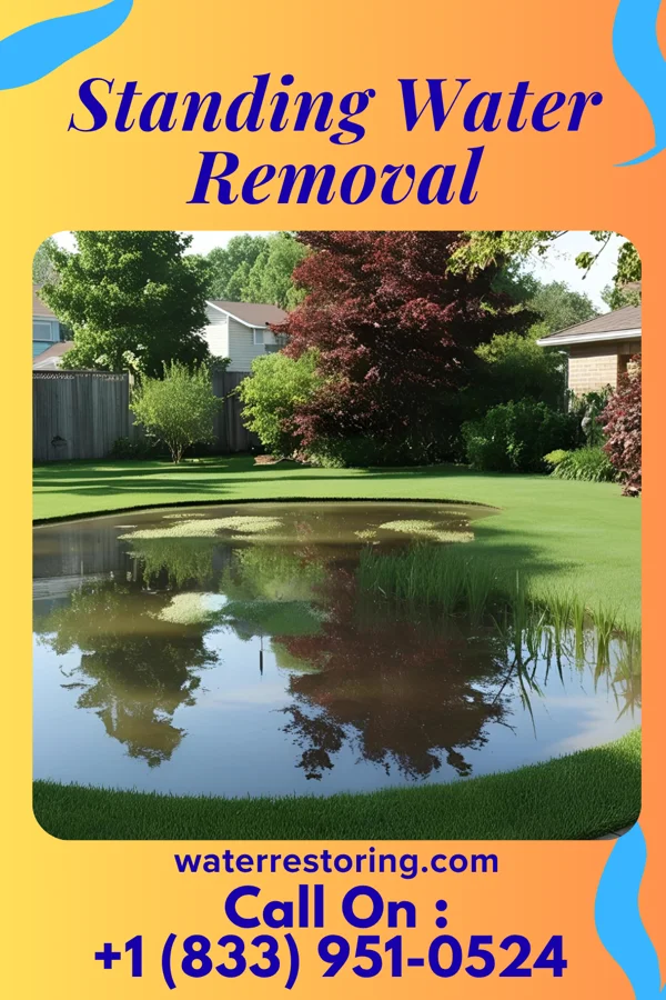 Standing Water Removal in Rio Chiquito, NM